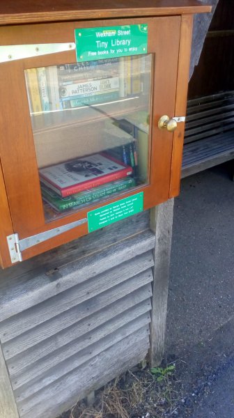 imagesGalleryTiny Library 2.jpg